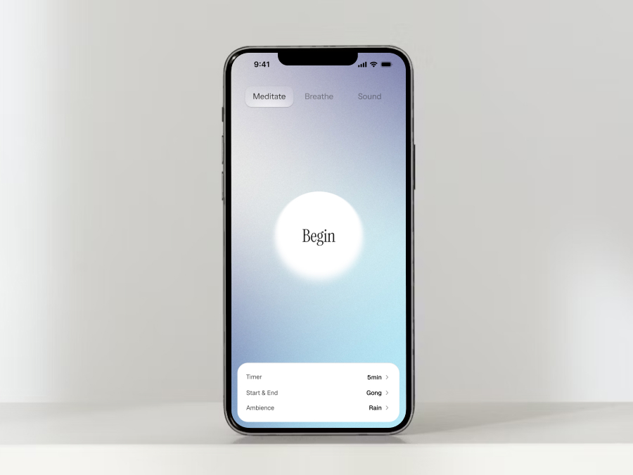 Roshi Mindfulness preview